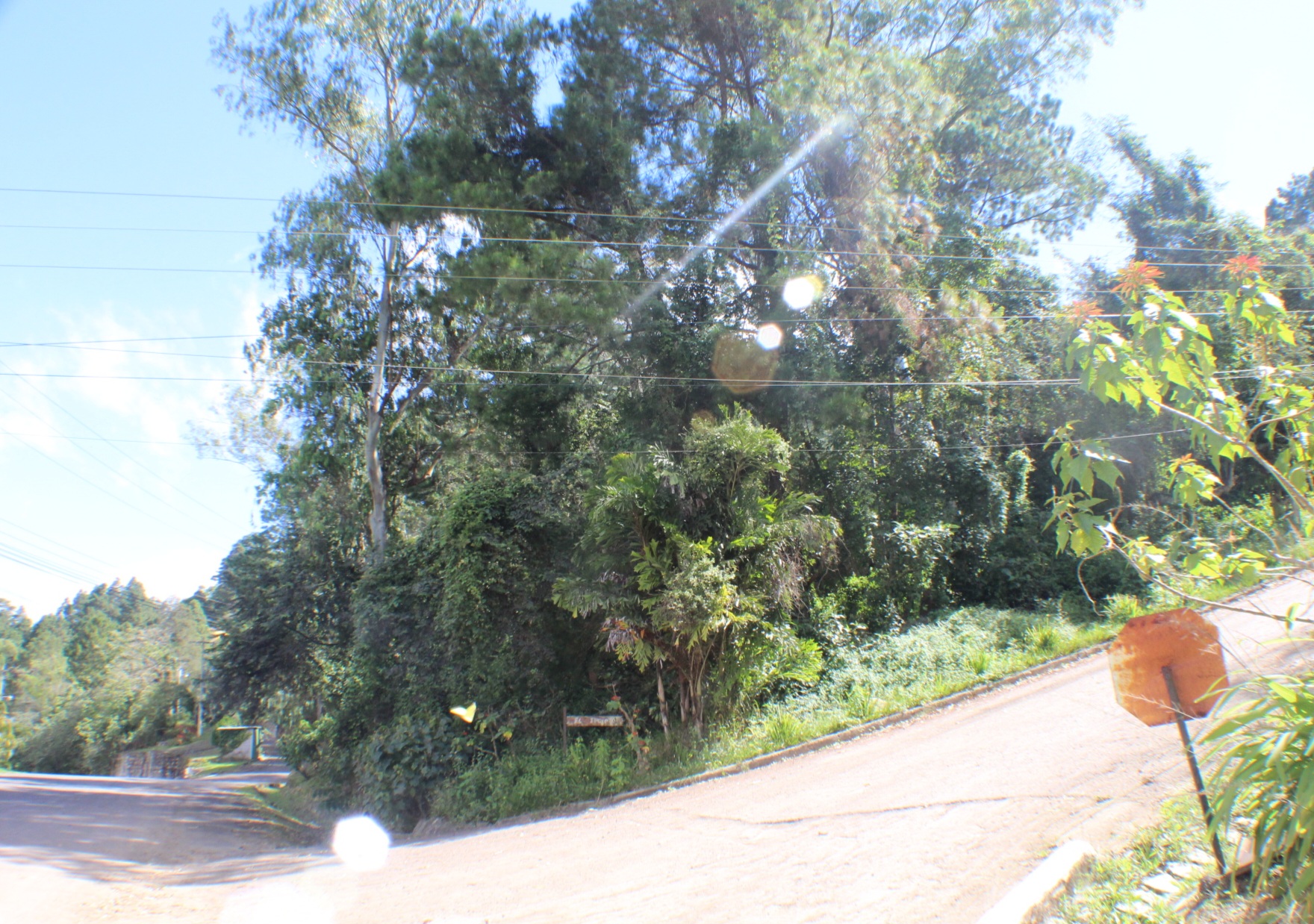 Venta: Terreno en circuito cerrado, Res. Villa Elena
